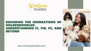 Decoding the Generations of Goldendoodles Understanding F1, F1B, F2, and Beyond.pdf