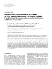 Bioconversion of Sugarcane Biomass into Ethanol.pdf