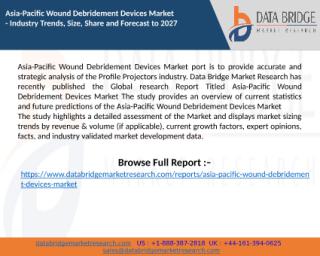 Asia-Pacific Wound Debridement Devices Market (2).pptx